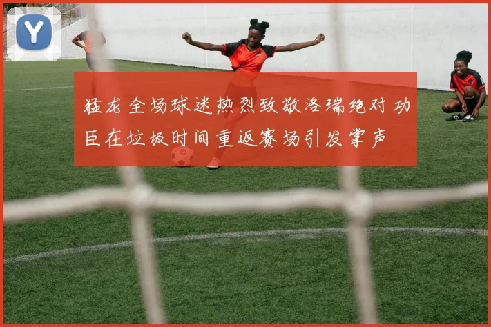 猛龙全场球迷热烈致敬洛瑞绝对功臣在垃圾时间重返赛场引发掌声